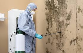 Asbestos and Lead Testing During Mold Inspection in Evendale, OH